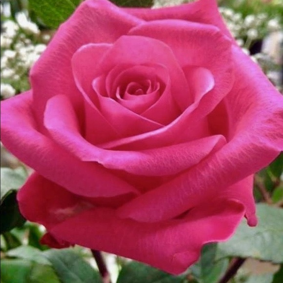 Welcome to my closet - Picture 3 of 3